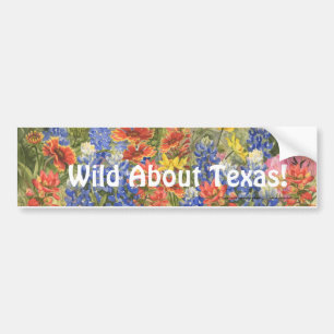 Vild om Texas! Bildekal