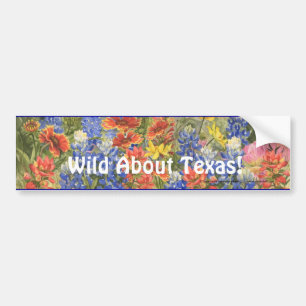Vild om Texas! Bildekal