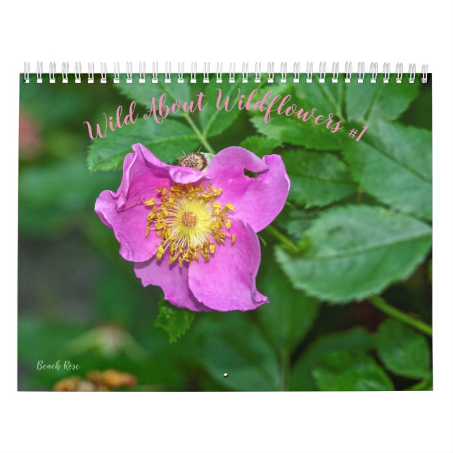 Vild om vildblommor #1 kalender (Omslag)