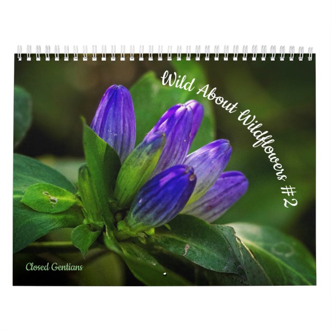Vild om vildblommor #2 kalender (Omslag)