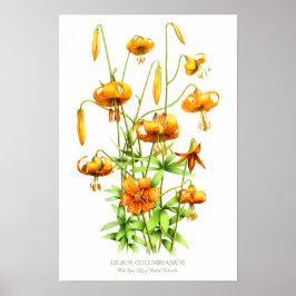 Vild Orange Tiger Lilies Botanical Art Print Poster
