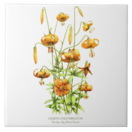 Vild Orange Tiger Lily Blommigt Botanical Stil Art Kakelplatta