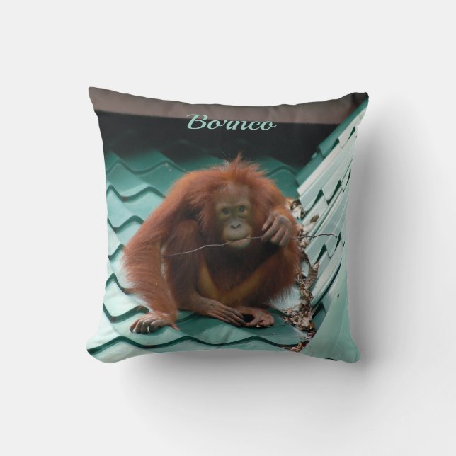 Vild Orangutan Ape på Tak i fotografi av Borneo Kudde (Framsida)