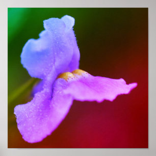 Vild Orchid Flower Poster