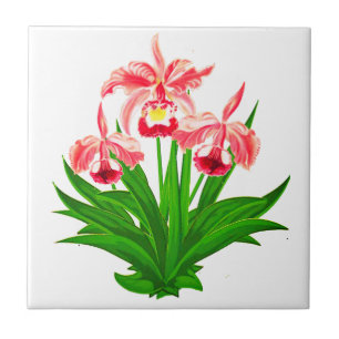 Vild Orchids - Coral Rosa Orchids och Foliage Cer Kakelplatta