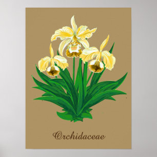 Vild Orchids - Golden Gult Orchids och Foliage Poster