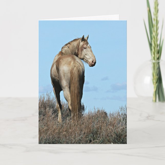Vild Oregon Mustang Stallion Greeting Card Kort (Framsida)