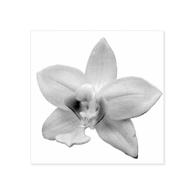 Vild orkidé lila tropisk blomma stämpel (Tryck)