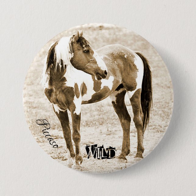 Vild Paint Horse Stallion Picasso-knapp Knapp (Framsida)