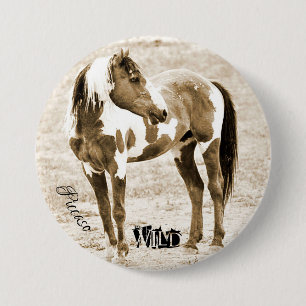 Vild Paint Horse Stallion Picasso-knapp Knapp