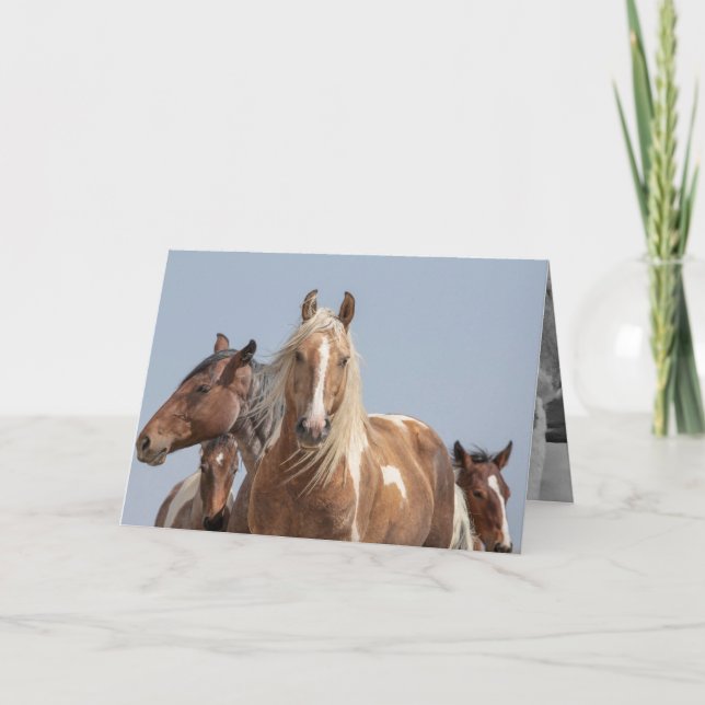 Vild Palomino Pinto Vild Horse Greeting Card Kort (Framsida)