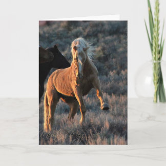 Vild Palomino Stallion Note-kort Kort