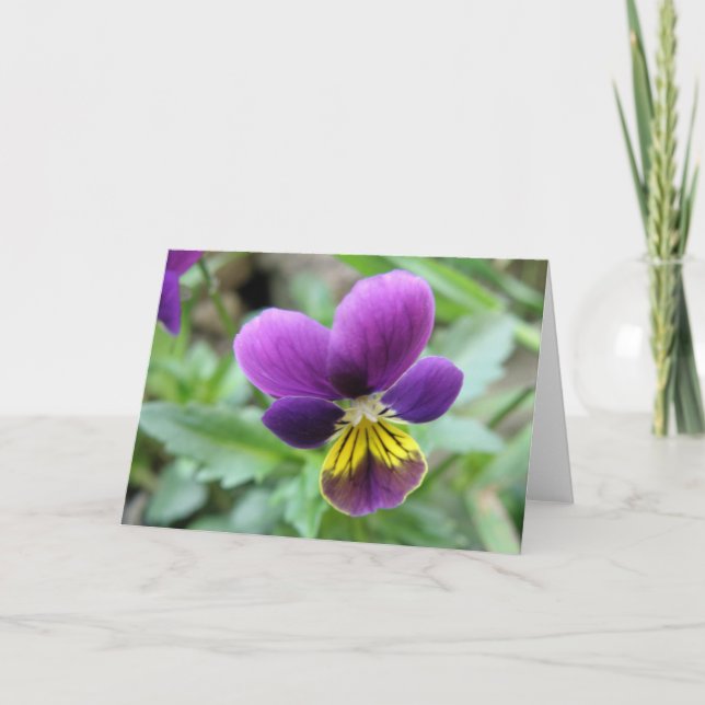 Vild Pansy Greeting Card Kort (Framsida)