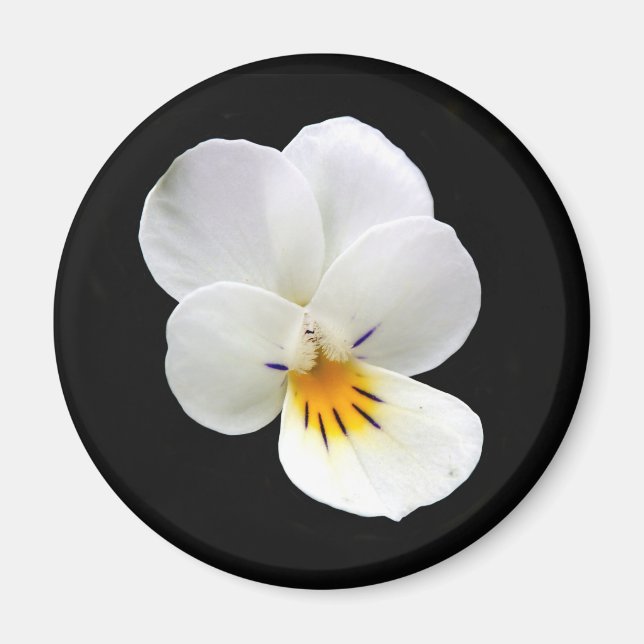 Vild Pansy Magnet (Framsidan)