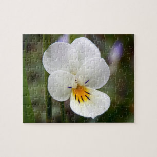 Vild Pansy Photo Puzzle med Gift box Pussel