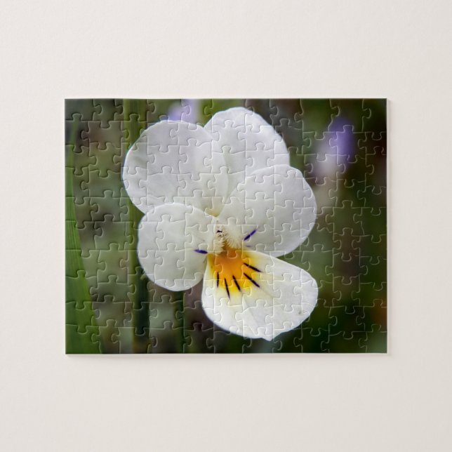 Vild Pansy Photo Puzzle med Gift box Pussel (Horisontell)