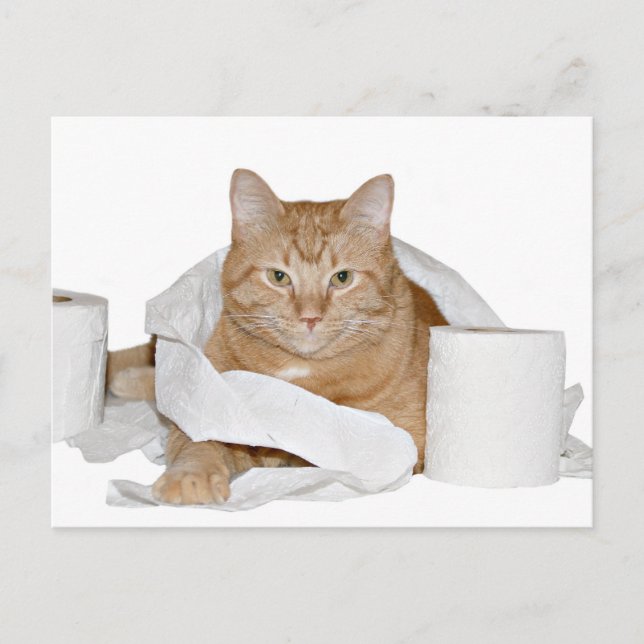 vild party vykort (Framsida)