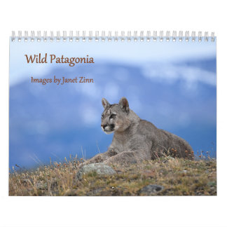 Vild Patagonien: Pumor och vilda djur Kalender
