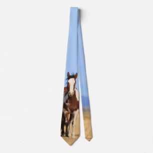 Vild Pinto Horse Slips