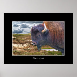 Vild Plains Buffalo Wildlife Art Poster