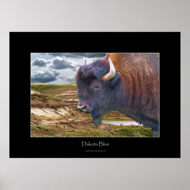 Vild Plains Buffalo Wildlife Art Poster (Framsidan)