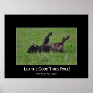 Vild Plains Bufffalo Rolling Wildlife (liten storl Poster