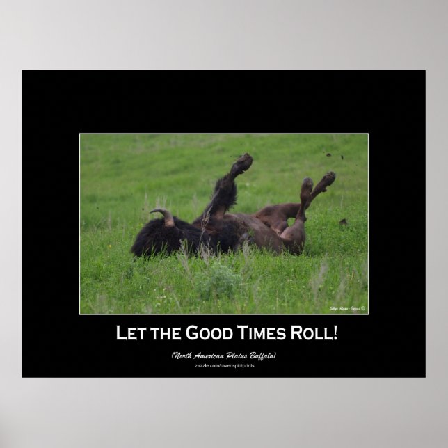 Vild Plains Bufffalo Rolling Wildlife (liten storl Poster (Framsidan)