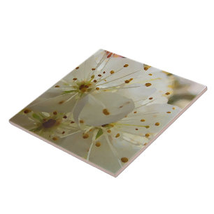 Vild Plum Blommars Impressionist Art Kakelplatta