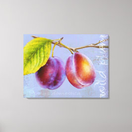Vild plum - Prunus domestica canvas art mauve