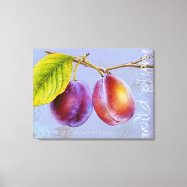 Vild plum - Prunus domestica canvas art mauve (Framsida)