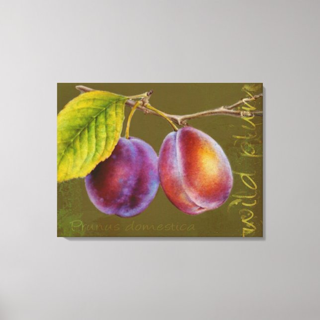 Vild plum - Prunus domestica canvas art (oliver) (Framsida)