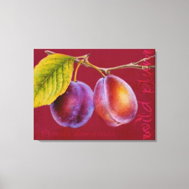 Vild plum - Prunus domestica canvas art (röd rik) (Framsida)
