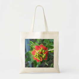 vild Poinsettia Tygkasse