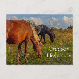 Vild Ponies vid Greyson Highlands State Park Vykort