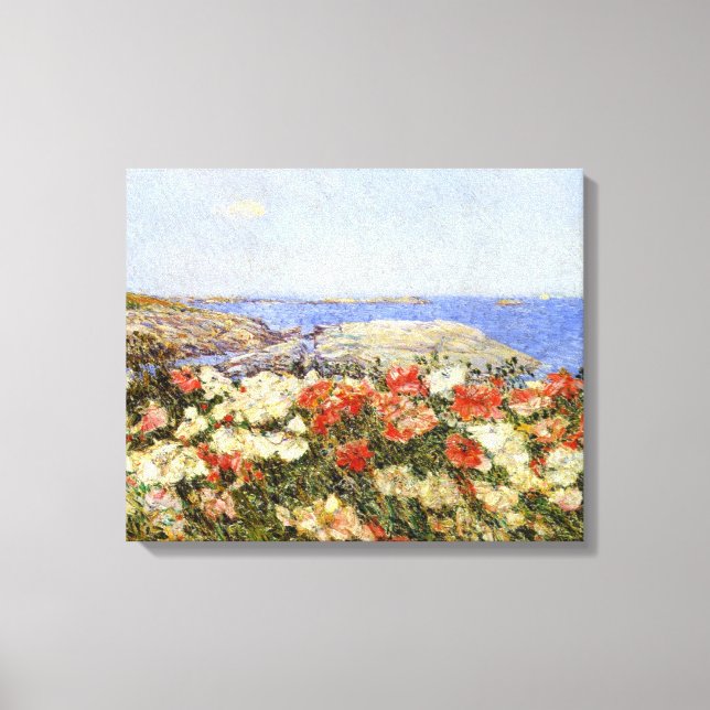 Vild Poppies på Shoals-öarna Canvastryck (Framsida)