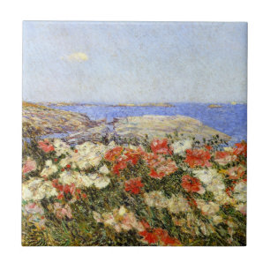 Vild Poppies på Shoals-öarna Kakelplatta