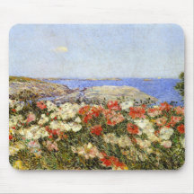 Vild Poppies på Shoals-öarna