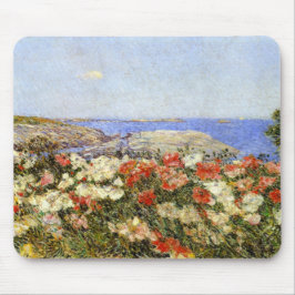 Vild Poppies på Shoals-öarna Musmatta