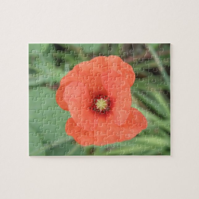 Vild Poppy Flower Puzzle Pussel (Horisontell)