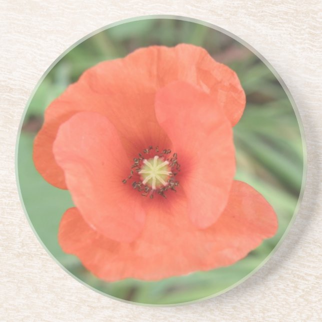 Vild Poppy Flower Underlägg (Framsidan)