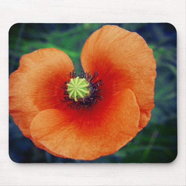 Vild Poppy Macro Photography Mousepad Musmatta (Framsidan)