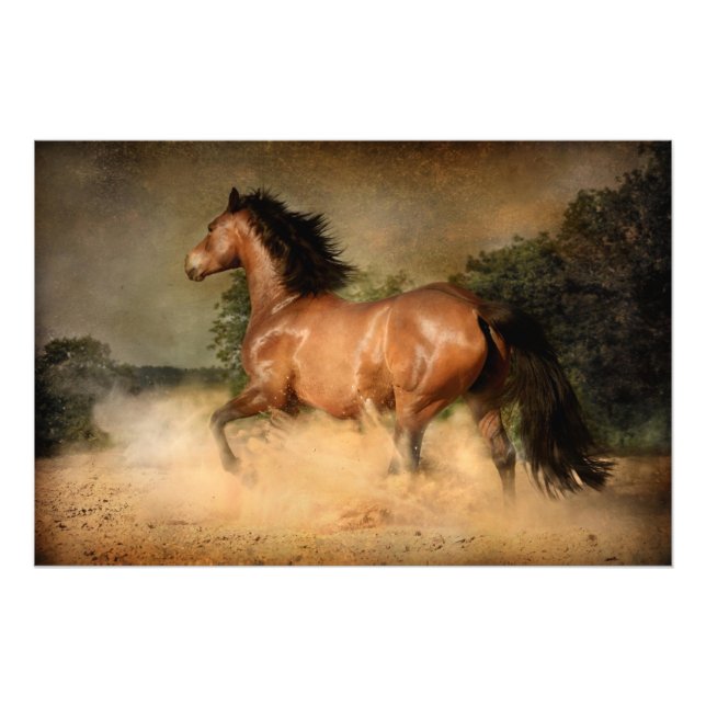 vild poster (Framsidan)