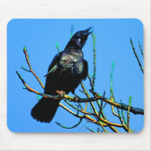 Vild Raven och Grenar Wildlife Photo Gift Musmatta