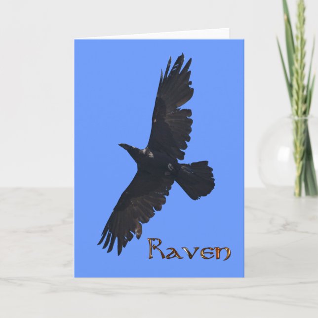 Vild Raven Wildlife Photo Gift Tack Kort (Framsida)