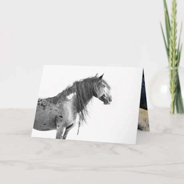 Vild Red Desert Stallion - gratulationskort Tack Kort (Framsida)