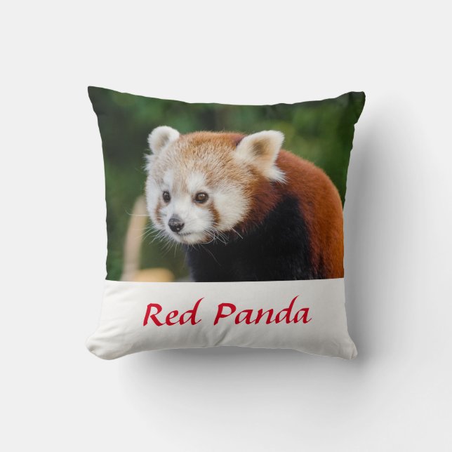 Vild Red Panda Nature Photo Kudde (Framsida)