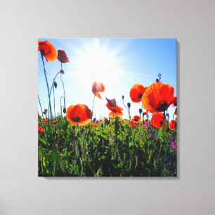 Vild Red Poppies Flowers Canvastryck