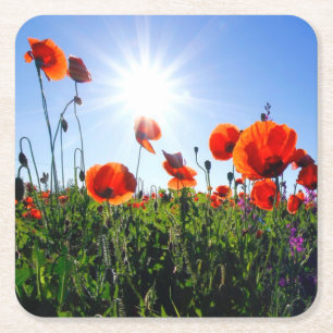 Vild Red Poppies Flowers Underlägg Papper Kvadrat