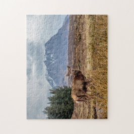 Vild Red stag i Glencoe Scotland Pussel