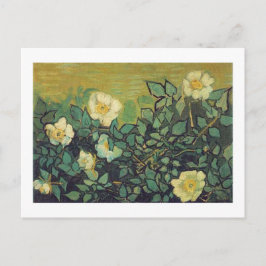 Vild Ro, 1890. Vincent van Gogh. Vykort